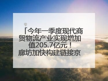 今年一季度现代商贸物流产业实现增加值205.7亿元！廊坊加快构建链接京津冀面向全世界的物流通道