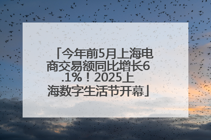 今年前5月上海电商交易额同比增长6.1%！2025上海数字生活节开幕