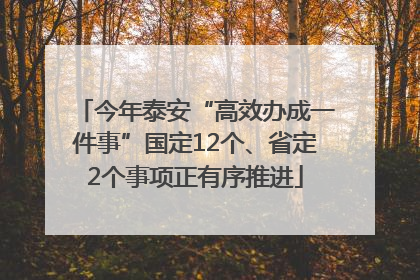 今年泰安“高效办成一件事”国定12个、省定2个事项正有序推进