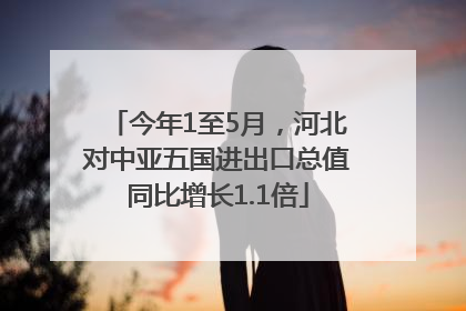 今年1至5月，河北对中亚五国进出口总值同比增长1.1倍