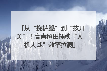 从“挽裤腿”到“按开关”！高青稻田插秧“人机大战”效率拉满