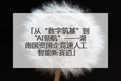 从“数字筑基”到“AI领航”——湖南国资国企竞速人工智能新赛道