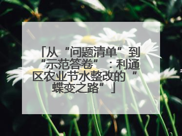 从“问题清单”到“示范答卷”：利通区农业节水整改的“蝶变之路”