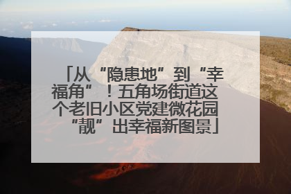 从“隐患地”到“幸福角”！五角场街道这个老旧小区党建微花园“靓”出幸福新图景