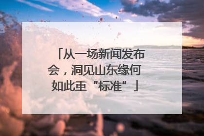 从一场新闻发布会，洞见山东缘何如此重“标准”