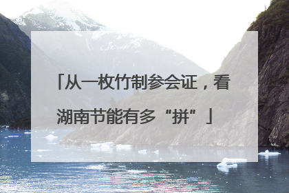 从一枚竹制参会证，看湖南节能有多“拼”