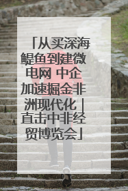 从买深海鳀鱼到建微电网 中企加速掘金非洲现代化｜直击中非经贸博览会