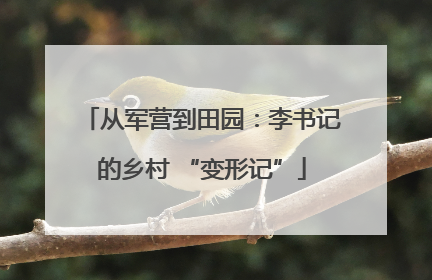 从军营到田园：李书记的乡村 “变形记”