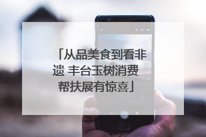 从品美食到看非遗 丰台玉树消费帮扶展有惊喜