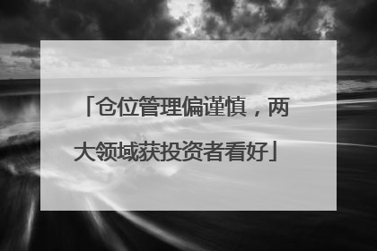 仓位管理偏谨慎，两大领域获投资者看好