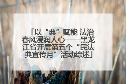 以“典”赋能 法治春风浸润人心——黑龙江省开展第五个“民法典宣传月”活动综述