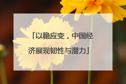 以稳应变,中国经济展现韧性与潜力