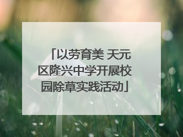 以劳育美 天元区隆兴中学开展校园除草实践活动
