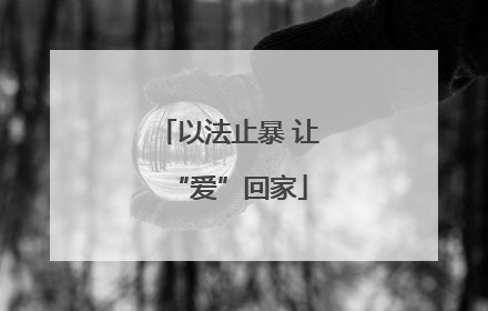 以法止暴 让“爱”回家