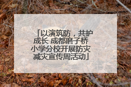 以演筑防，共护成长 成都磨子桥小学分校开展防灾减灾宣传周活动