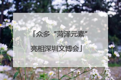 众多“菏泽元素”亮相深圳文博会