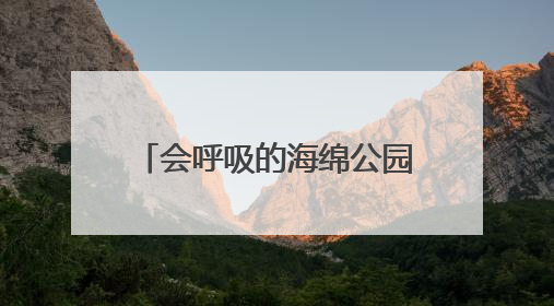 会呼吸的海绵公园来了！杨浦新江湾城7.35公顷生态空间改造焕新