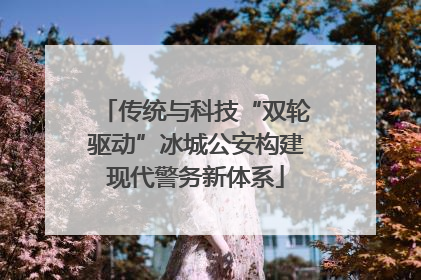传统与科技“双轮驱动”冰城公安构建现代警务新体系