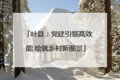 叶县：党建引领高效能 绘就乡村新图景