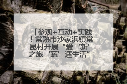 参观+互动+实践！常熟市沙家浜镇常昆村开展“爱‘新’之旅‘蔬’适生活”参观学习活动
