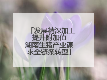 发展精深加工 提升附加值 湖南生猪产业谋求全链条转型