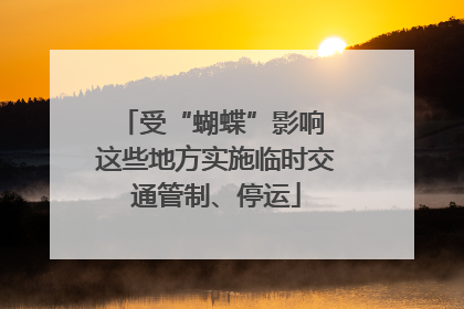 受“蝴蝶”影响 这些地方实施临时交通管制、停运