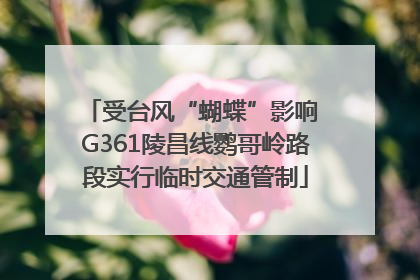 受台风“蝴蝶”影响 G361陵昌线鹦哥岭路段实行临时交通管制