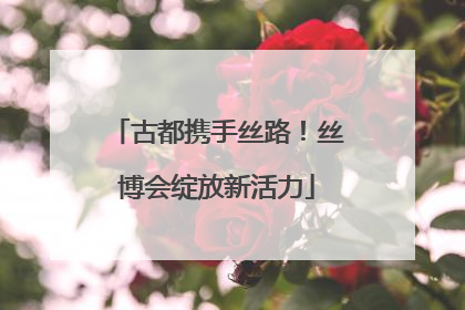古都携手丝路！丝博会绽放新活力