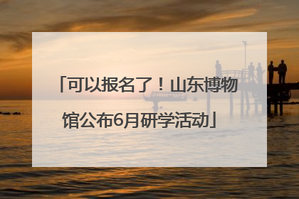 可以报名了！山东博物馆公布6月研学活动
