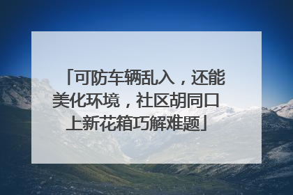可防车辆乱入，还能美化环境，社区胡同口上新花箱巧解难题