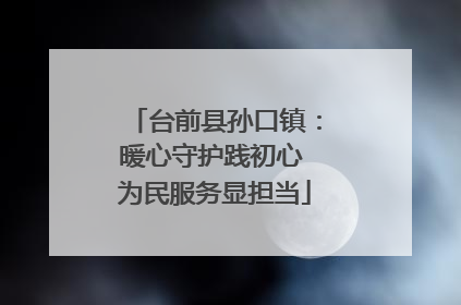 台前县孙口镇：暖心守护践初心 为民服务显担当