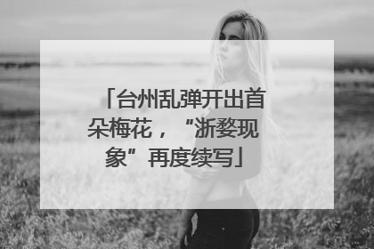台州乱弹开出首朵梅花，“浙婺现象”再度续写