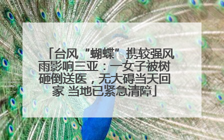 台风“蝴蝶”携较强风雨影响三亚：一女子被树砸倒送医，无大碍当天回家 当地已紧急清障