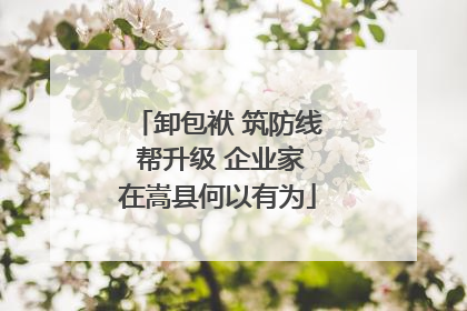 卸包袱 筑防线 帮升级 企业家在嵩县何以有为
