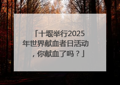 十堰举行2025年世界献血者日活动，你献血了吗？