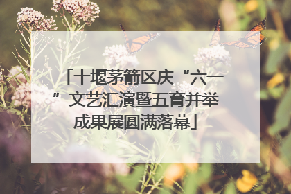 十堰茅箭区庆“六一”文艺汇演暨五育并举成果展圆满落幕