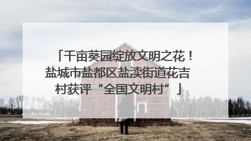 千亩葵园绽放文明之花！盐城市盐都区盐渎街道花吉村获评“全国文明村”