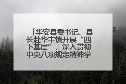华安县委书记、县长赴华丰镇开展“四下基层”、深入贯彻中央八项规定精神学习教育工作调研