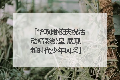 华政附校庆祝活动精彩纷呈 展现新时代少年风采