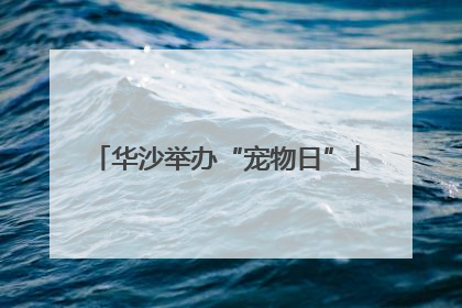 华沙举办“宠物日”