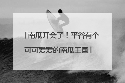 南瓜开会了！平谷有个可可爱爱的南瓜王国