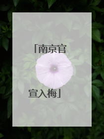 南京官宣入梅