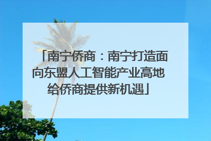 南宁侨商：南宁打造面向东盟人工智能产业高地给侨商提供新机遇