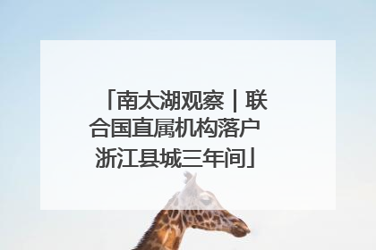 南太湖观察｜联合国直属机构落户浙江县城三年间