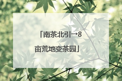 南茶北引→8亩荒地变茶园