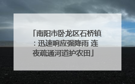 南阳市卧龙区石桥镇：迅速响应强降雨 连夜疏通河道护农田