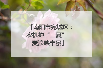 南阳市宛城区：农机护“三夏” 麦浪映丰景