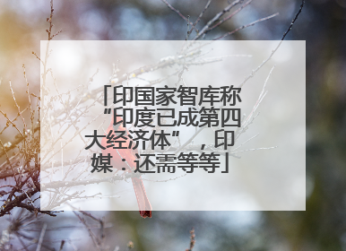 印国家智库称“印度已成第四大经济体”，印媒：还需等等