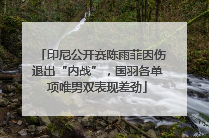 印尼公开赛陈雨菲因伤退出“内战”，国羽各单项唯男双表现差劲
