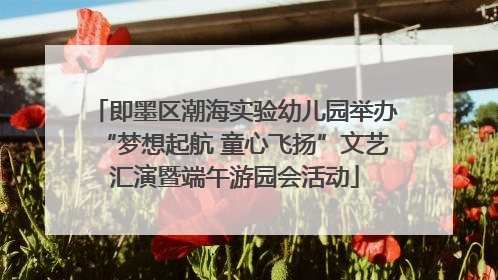 即墨区潮海实验幼儿园举办“梦想起航 童心飞扬”文艺汇演暨端午游园会活动